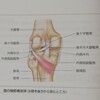 ❮過去の怪我を調べる②❯