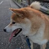 エスパルスのある週末はほんとにわくわく