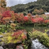 紅葉の永観堂　これからが見頃