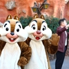 【ディズニー】チップとデールにハマったという話