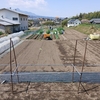 実家の畑で農作業でした