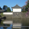 続・東京大手町『大手門と枝垂れ桜』