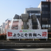 第58回青梅マラソン（30kmの部）を走ってきた！