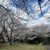 2025年4月5日🐾 今日のマヤ暦