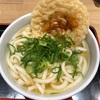 博多うどん！