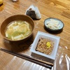 梅のおにぎりと、葱の味噌汁で朝ご飯にしました。