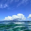 沖縄本島 北部 採集記 2026