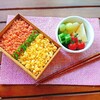 【お弁当】鮭と卵そぼろ丼弁当20180629