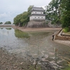 外来生物駆除　お濠の水抜き