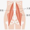 何もしなければ70代の筋肉量は20代の半分になります