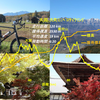 大岡-大町 ミニベロサイクリング