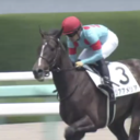 サラリーマンパパの競馬マネーアップ塾