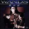 時の扉 / WANDS (1993 CD-DA)