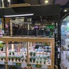 水草コーナーに新商品？＆夏の一杯？【ペットバルーン・大阪・ADA・中古・買取】