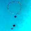 みんなの輪の中を　通り過ぎる　　MANTA