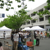 大阪大学いちょう祭にて