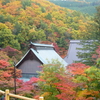 霊松寺の紅葉