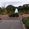 京都府立植物園で花の写真を撮影してみた。