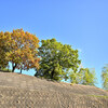 地元の紅葉 2020 ～ 檜尾山 観心寺 Ⅰ