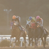 高知競馬の奇跡・メモ