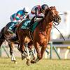 競馬初心者必見☆馬券予想🔥〜ダイヤモンドS〜天皇賞春に向けた一戦！