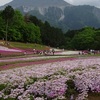 GWサイクリング！その３～味噌豚丼と羊山の芝桜、艱難辛苦を乗り越えて