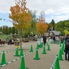 上野双子パンダと動物園