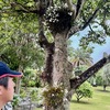 30年ぶりの再会・2日目