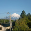 愛鷹山登山