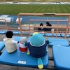 サッカーでデートだなんて！二匹の邪魔をするコペンギンです(奈良クラブ最終戦その2)(388)
