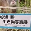 生き物写真展