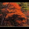 榛名神社脇の紅葉