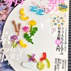 雑誌「和樂」でドラえもんと鳥獣戯画のコラボトートが付録に！