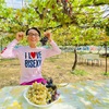 塩尻かどや農園の無農薬ぶどう