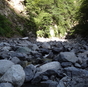 ほぼ山行
