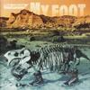 『MY FOOT』the pillows