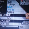 【ポケモンBW2】ハルヤのポケモン日記3rd 3日目～ぐわっぱ～