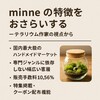 minneの特徴をおさらいする – テラリウム作家の視点から
