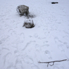 どんぐり公園の雪だるま