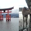 広島・島根・鳥取　①