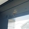 【ツバメ】うっかりしてたら早速ツバメの巣が出来かけてた！