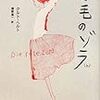 クルト・ヘルト『赤毛のゾラ』（酒寄進一訳、長崎出版、2009年3月）