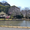 三渓園（横浜市）