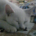 できたてのキッシュ