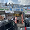 【沖縄名護市】道の駅許田の前に広がる絶景ビーチ