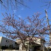 間に合わない
