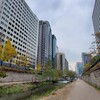 ソウル市民の憩い場、清渓川を散歩しよう！