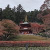 勝尾寺の紅葉