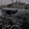 予報通りに雨が雪