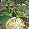 その他 　　その114